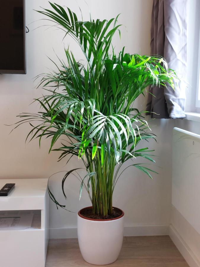 Meldolla Apartment Zagreb Luaran gambar